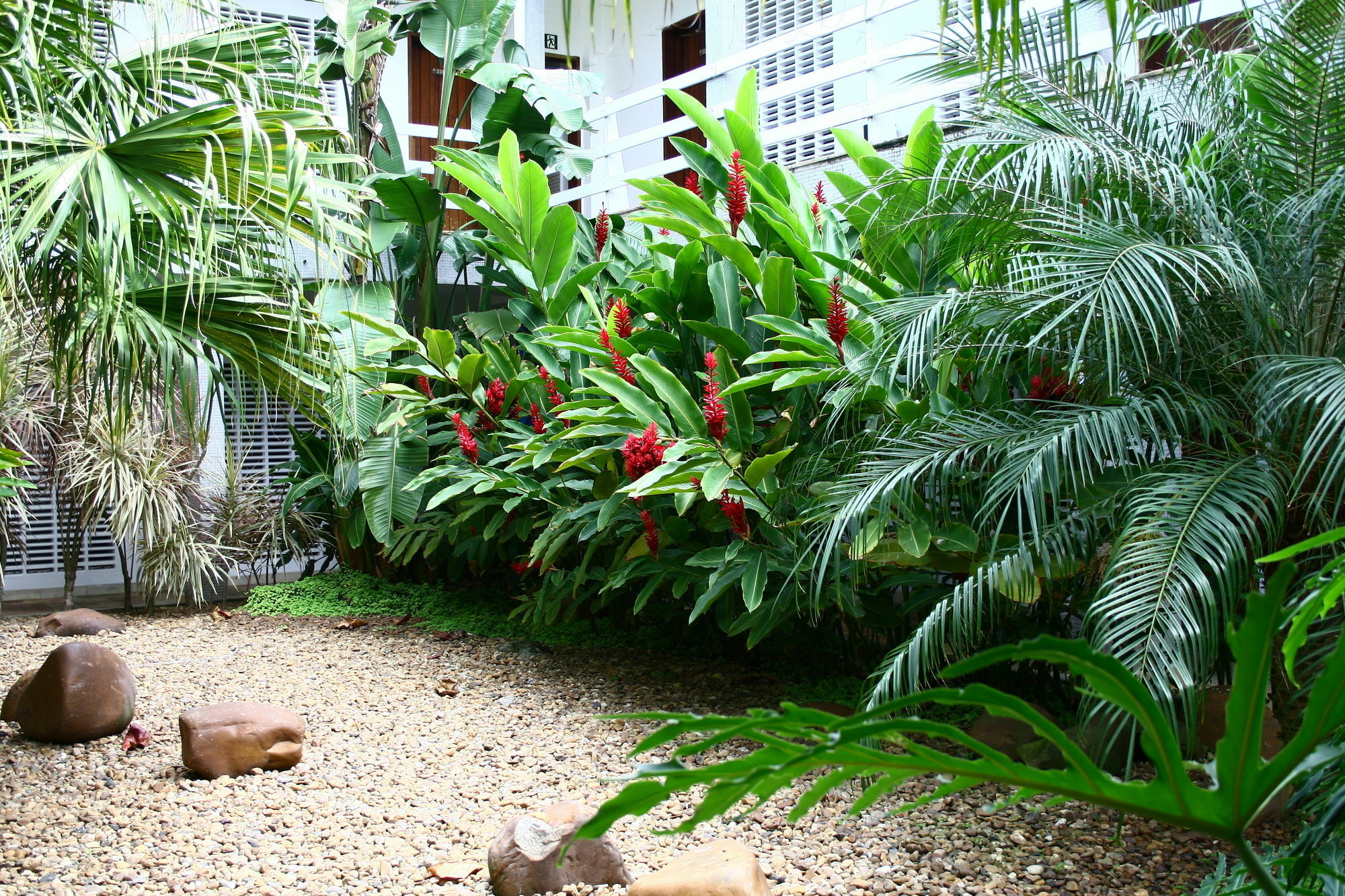 Delphin Beach Hotel Guaruja Exterior photo